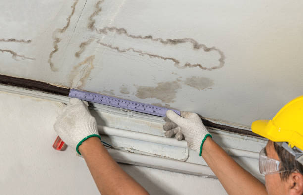 Reliable Water Damage contractor in Hannibal, OH by Water Damage Irwin